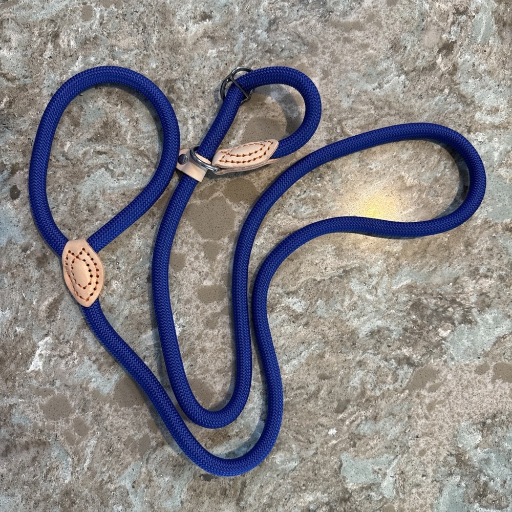 5' Nylon Leather Slip Lead‎ Dog Leash Royal Blue Dog Training Walking Exercise